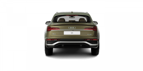 아우디_Q5_2023년형_스포트백 디젤 2.0_40 TDI Quattro Premium_color_ext_back_District Green Metallic.png