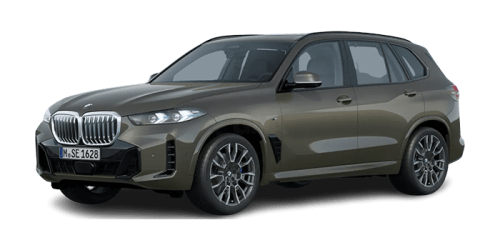 BMW_X5_2024년형_가솔린 3.0_xDrive40i M Sport_color_ext_left_맨해탄 메탈릭.png