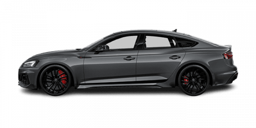 아우디_A5_2023년형_RS5 스포트백 가솔린 2.9_RS5 Sportback_color_ext_side_Daytona Gray Pearlescent.png