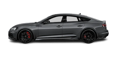 아우디_A5_2023년형_RS5 스포트백 가솔린 2.9_RS5 Sportback_color_ext_side_Daytona Gray Pearlescent.png