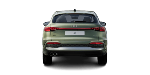 아우디_The new Q5_2025년형_color_ext_back_District Green Metallic.png