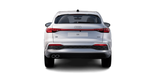 아우디_The new Q5_2025년형_color_ext_back_Floret Silver Metallic.png